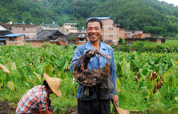 秋收的中國，你想象不到的美！但更美的是&hellip;&hellip;