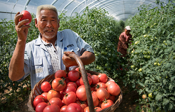 秋收的中國，你想象不到的美！但更美的是&hellip;&hellip;
