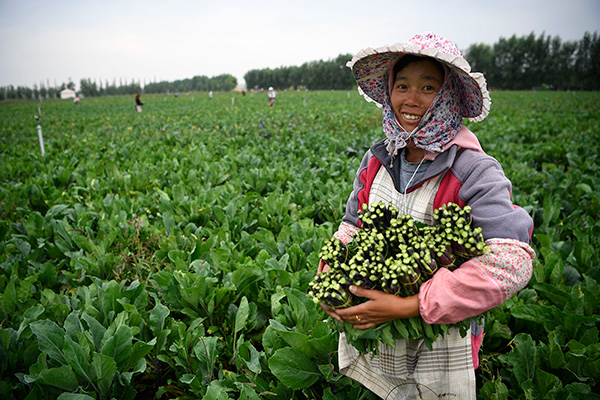 秋收的中國，你想象不到的美！但更美的是&hellip;&hellip;