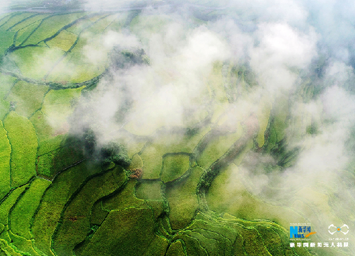 秋收的中國，你想象不到的美！但更美的是&hellip;&hellip;