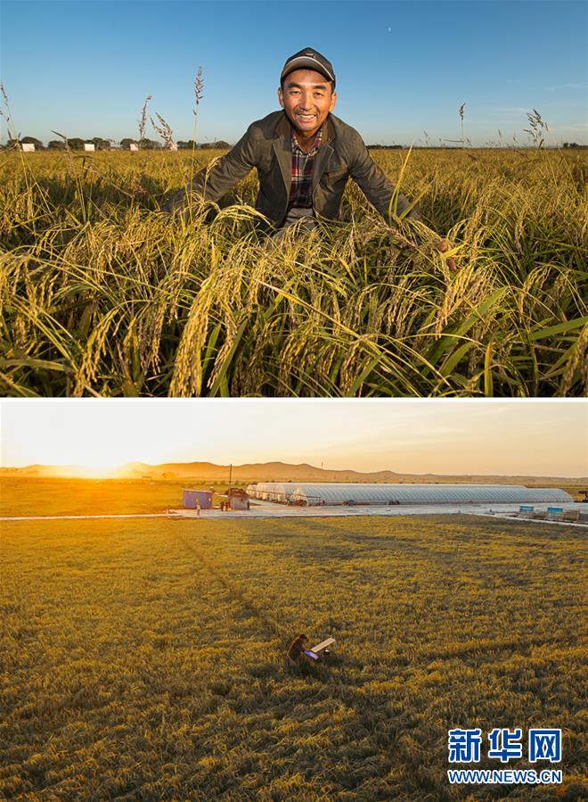 （新華全媒頭條&middot;圖文互動(dòng)）（10）最年輕的節(jié)日 最悠久的牽念&mdash;&mdash;寫給首個(gè)中國(guó)農(nóng)民豐收節(jié)