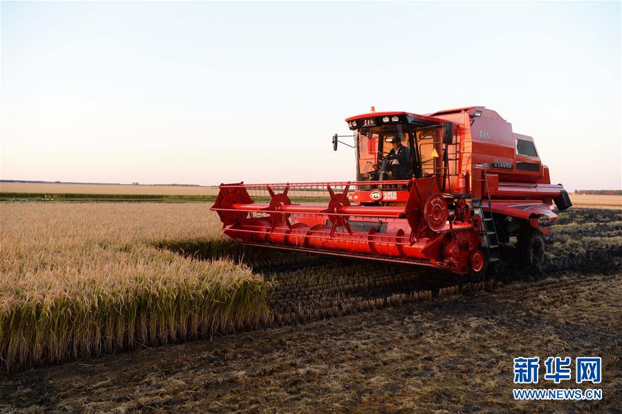 （新華全媒頭條&middot;圖文互動）（1）情系黑土地&mdash;&mdash;習近平總書記考察東北三省回訪記