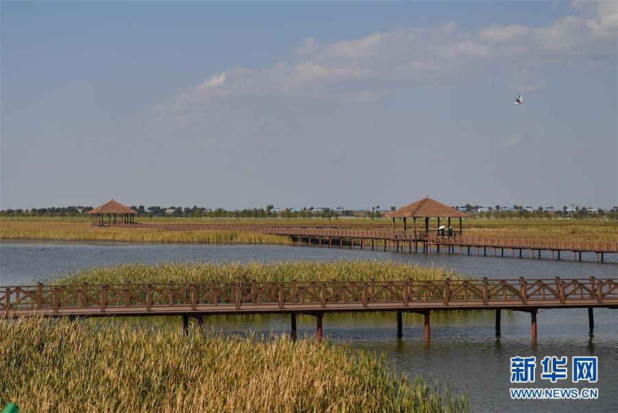 （新華全媒頭條&middot;圖文互動(dòng)）（10）情系黑土地&mdash;&mdash;習(xí)近平總書(shū)記考察東北三省回訪記