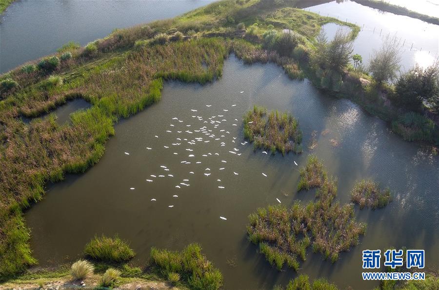 （圖文互動(dòng)&middot;百城百縣百企調(diào)研行）（5）&ldquo;濕地?？?rdquo;的生態(tài)文明建設(shè)實(shí)踐