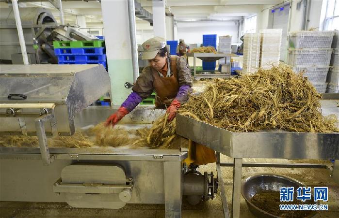 （百城百縣百企調(diào)研行&middot;圖文互動(dòng)）（5）吉林集安：邊陲&ldquo;綠色明珠&rdquo;為何如此閃亮？