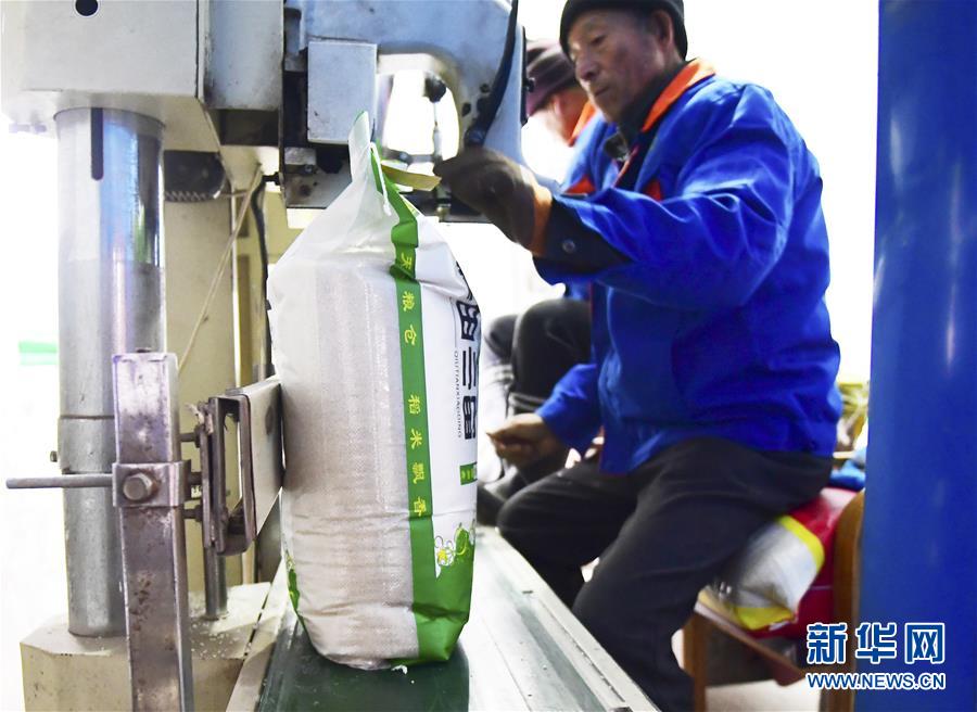 （在習近平新時代中國特色社會主義思想指引下&mdash;&mdash;新時代新作為新篇章&middot;鄉(xiāng)村振興戰(zhàn)略&middot;圖文互動）（3）吉林榆樹：產(chǎn)糧&ldquo;冠軍縣&rdquo;大旱之年從容應對減產(chǎn)考驗