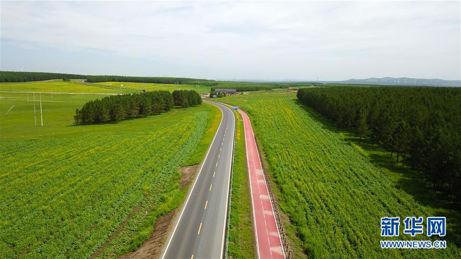 （新華全媒頭條&middot;圖文互動(dòng)）（4）那一抹綠色，走進(jìn)越來越多人心里&mdash;&mdash;河北塞罕壩續(xù)寫新時(shí)代綠色傳奇