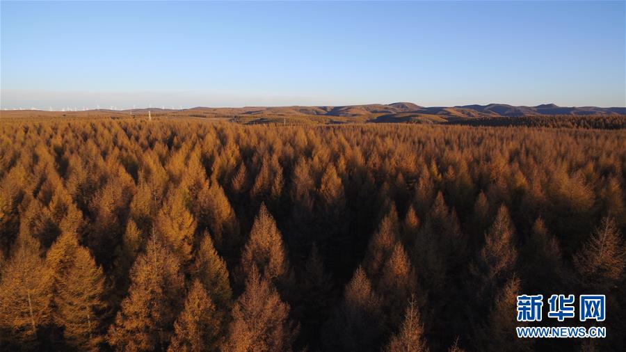 （新華全媒頭條&middot;圖文互動(dòng)）（6）那一抹綠色，走進(jìn)越來越多人心里&mdash;&mdash;河北塞罕壩續(xù)寫新時(shí)代綠色傳奇