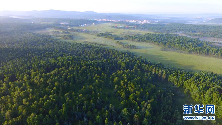 （新華全媒頭條&middot;圖文互動(dòng)）（5）那一抹綠色，走進(jìn)越來越多人心里&mdash;&mdash;河北塞罕壩續(xù)寫新時(shí)代綠色傳奇