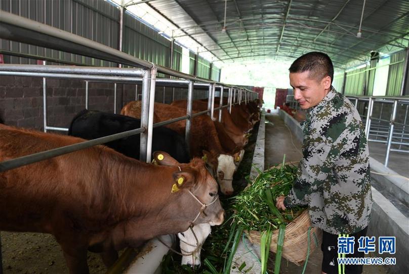 （輝煌60年&middot;壯美新廣西&middot;圖文互動(dòng)）（7）奮力書(shū)寫壯鄉(xiāng)反貧困歷史新篇章&mdash;&mdash;廣西干部群眾接續(xù)奮斗脫貧攻堅(jiān)觀察