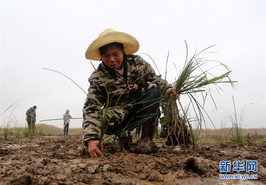 （新華視點(diǎn)&middot;回望2018&middot;圖文互動）（3）2018年新華社曝光多起破壞生態(tài)事件，記者年底追訪發(fā)現(xiàn)&hellip;&hellip;