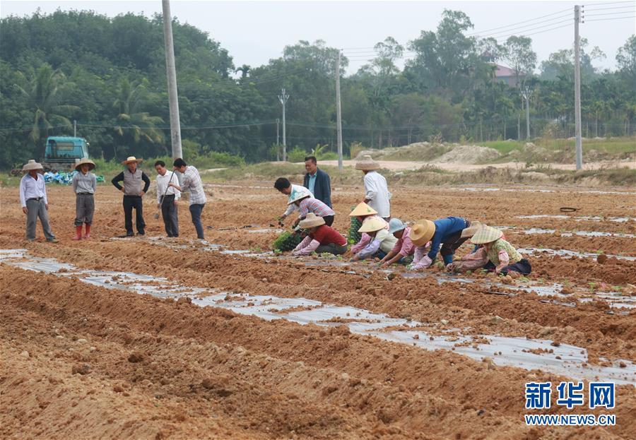 （新華視點(diǎn)&middot;回望2018&middot;圖文互動）（7）2018年新華社曝光多起破壞生態(tài)事件，記者年底追訪發(fā)現(xiàn)&hellip;&hellip;
