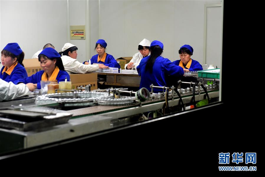 （慶祝改革開放40周年基層行&middot;村莊篇&middot;圖文互動）（4）走向更高質量發(fā)展&mdash;&mdash;劉莊的40年&ldquo;幸福路&rdquo;