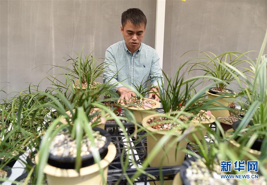 （圖文互動(dòng)）（6）建設(shè)好生態(tài)宜居的美麗鄉(xiāng)村&mdash;&mdash;從&ldquo;千萬工程&rdquo;看習(xí)近平生態(tài)文明思想的生動(dòng)實(shí)踐和世界回響