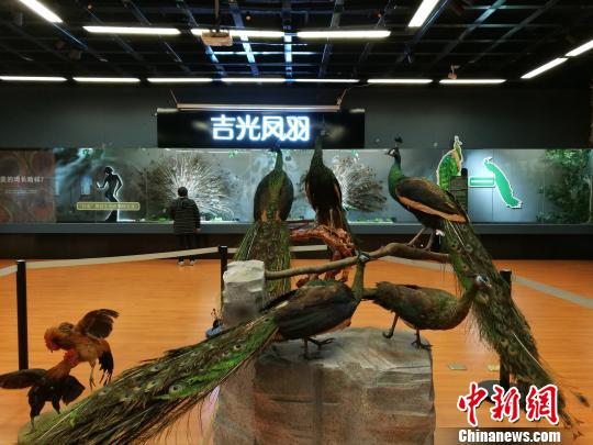 先有雞還是先有蛋？這個科普展覽有點&ldquo;不一般&rdquo;