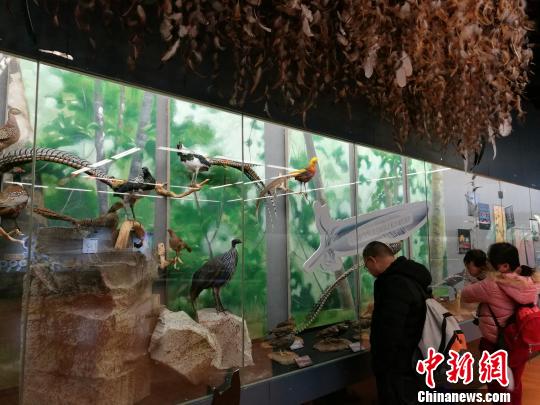 圖為展覽現(xiàn)場?！『h(yuǎn)航 攝