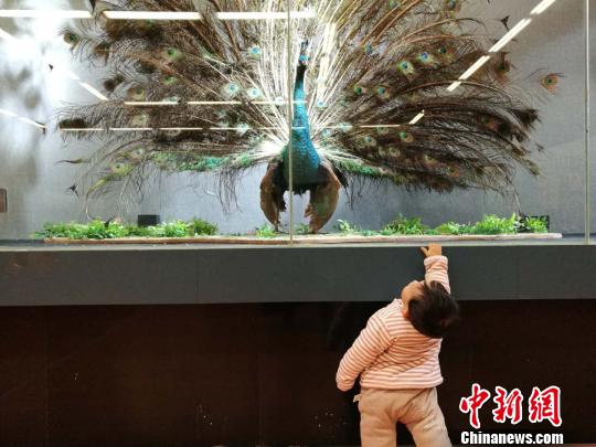 圖為展覽現(xiàn)場?！『h(yuǎn)航 攝