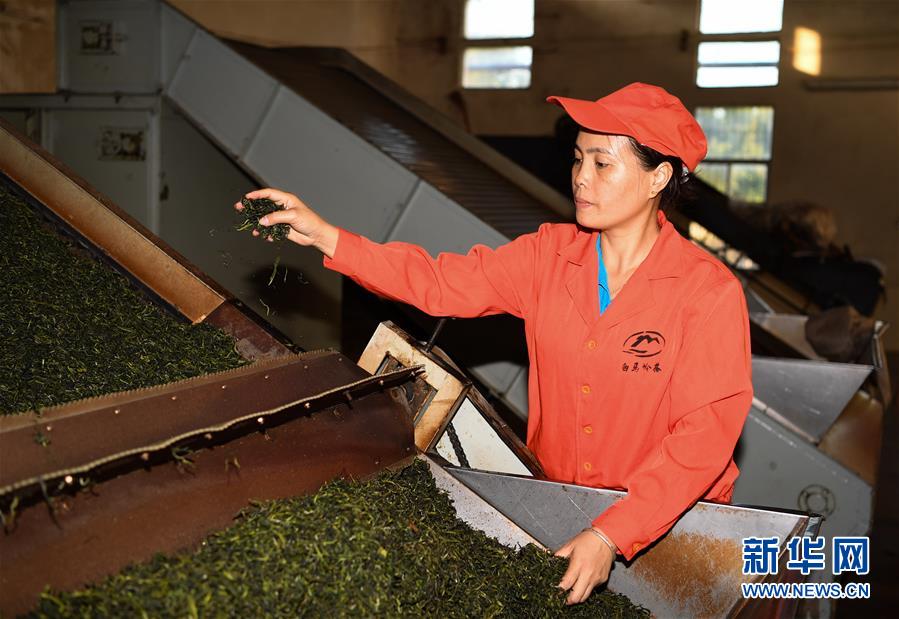 （奮進新時代&middot;迎接兩會）（2）開放發(fā)展&mdash;&mdash;推動形成全面開放新格局