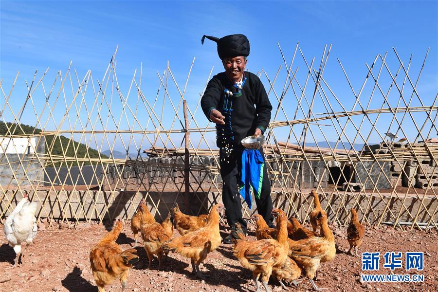 （新華全媒頭條&middot;奮進(jìn)新時(shí)代&middot;迎接兩會(huì)特別報(bào)道&middot;圖文互動(dòng)）（5）新征程，向著偉大夢(mèng)想前進(jìn)&mdash;&mdash;從黨的十九大到2018年全國(guó)兩會(huì)