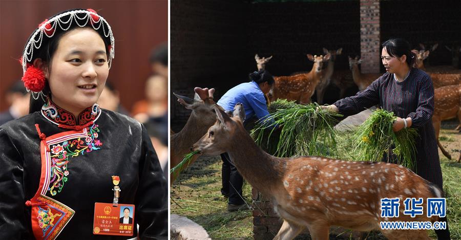 （兩會(huì)&middot;影像鏈接）全國(guó)人大代表雷金玉：努力吸引人才 推動(dòng)鄉(xiāng)村振興