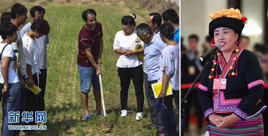 （兩會&middot;影像鏈接）全國政協(xié)委員張敏：培養(yǎng)新型農(nóng)民 助力脫貧攻堅