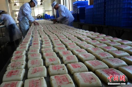 資料圖：師傅們在把制作好的桂花糖年糕擺放整齊。王思哲 攝