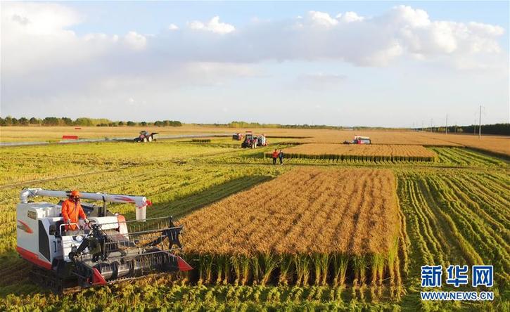 （在習(xí)近平新時(shí)代中國特色社會(huì)主義思想指引下&mdash;&mdash;新時(shí)代新作為新篇章&middot;鄉(xiāng)村振興戰(zhàn)略&middot;圖文互動(dòng)）（2）&ldquo;十五連豐&rdquo;譜新篇&mdash;&mdash;端牢&ldquo;中國飯碗&rdquo;的龍江實(shí)踐