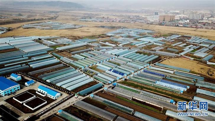 （在習(xí)近平新時(shí)代中國特色社會(huì)主義思想指引下&mdash;&mdash;新時(shí)代新作為新篇章&middot;鄉(xiāng)村振興戰(zhàn)略&middot;圖文互動(dòng)）（5）&ldquo;十五連豐&rdquo;譜新篇&mdash;&mdash;端牢&ldquo;中國飯碗&rdquo;的龍江實(shí)踐