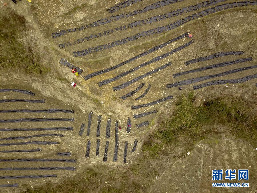 （新春走基層）（15）重慶黔江：土家三老漢 一臺(tái)&ldquo;扶貧戲&rdquo;