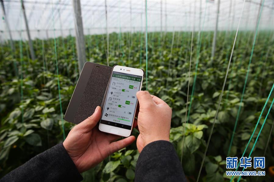 （新華全媒頭條&middot;圖文互動）（8）聚焦高質(zhì)量，躍上新臺階&mdash;&mdash;新年開局看中國經(jīng)濟(jì)信心和潛力