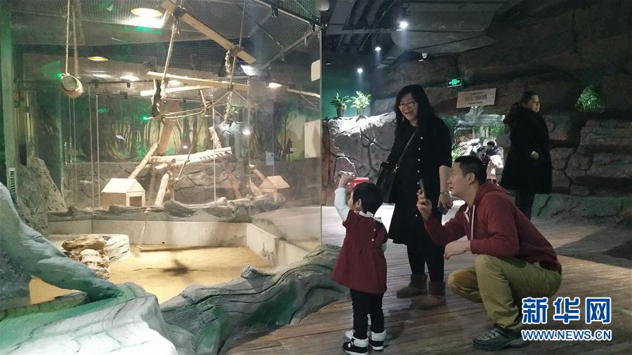 （新春走基層&middot;圖文互動）（1）新疆&ldquo;新年俗&rdquo;：動物王國學知識 冰雪世界強身體