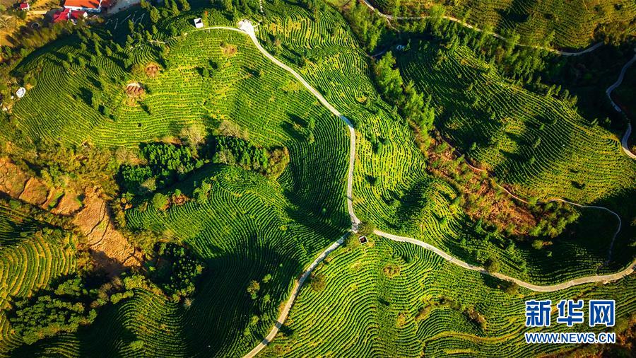 （兩會前夕看落實&middot;圖文互動）（5）奮力脫貧攻堅 生態(tài)追&ldquo;清&rdquo;逐&ldquo;綠&rdquo;&mdash;&mdash;江西落實習(xí)近平總書記全國兩會重要講話精神紀(jì)實