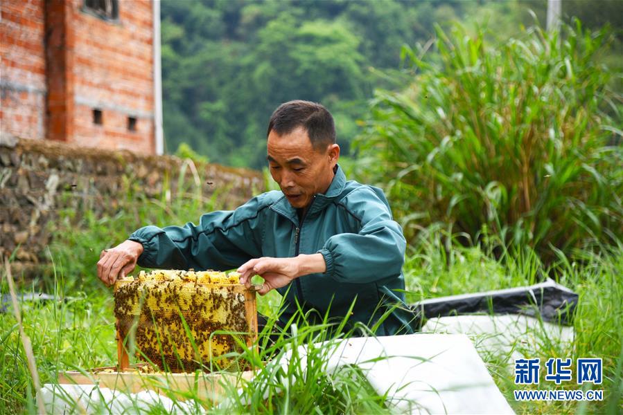 （兩會前夕看落實&middot;圖文互動）（7）奮力脫貧攻堅 生態(tài)追&ldquo;清&rdquo;逐&ldquo;綠&rdquo;&mdash;&mdash;江西落實習(xí)近平總書記全國兩會重要講話精神紀(jì)實