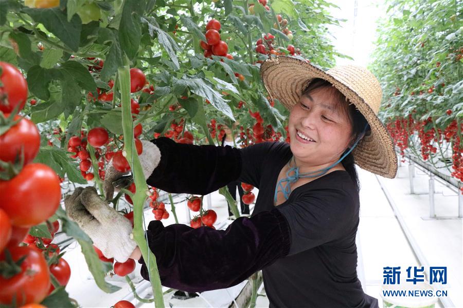 （兩會前夕看落實&middot;圖文互動）（8）奮力脫貧攻堅 生態(tài)追&ldquo;清&rdquo;逐&ldquo;綠&rdquo;&mdash;&mdash;江西落實習(xí)近平總書記全國兩會重要講話精神紀(jì)實