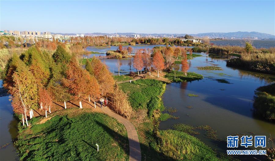 （在習近平新時代中國特色社會主義思想指引下&mdash;&mdash;新時代新作為新篇章&middot;圖文互動）（5）高原春來早 云嶺開新篇 