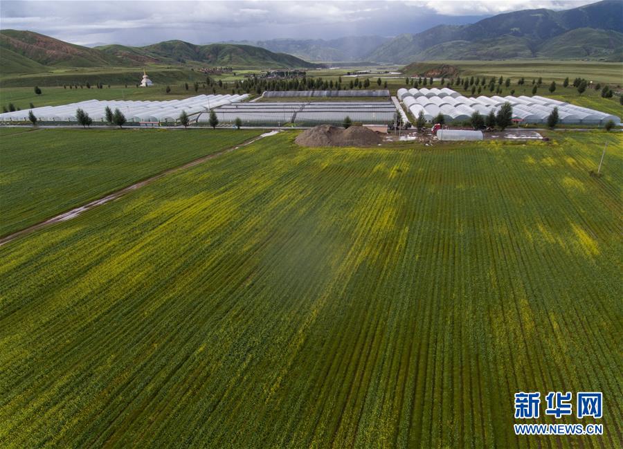 （兩會(huì)前夕看落實(shí)&middot;圖文互動(dòng)）（6）&ldquo;飛針走線(xiàn)&rdquo;&ldquo;繡&rdquo;出小康畫(huà)卷&mdash;&mdash;四川落實(shí)習(xí)近平總書(shū)記全國(guó)兩會(huì)重要講話(huà)精神紀(jì)實(shí)