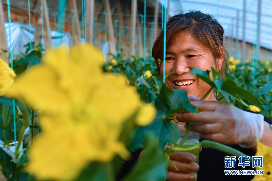 （兩會前夕看落實&middot;圖文互動）（4）融合&ldquo;三生三美&rdquo; 打造鄉(xiāng)村振興齊魯樣板&mdash;&mdash;山東落實習(xí)近平總書記全國兩會重要講話精神紀實