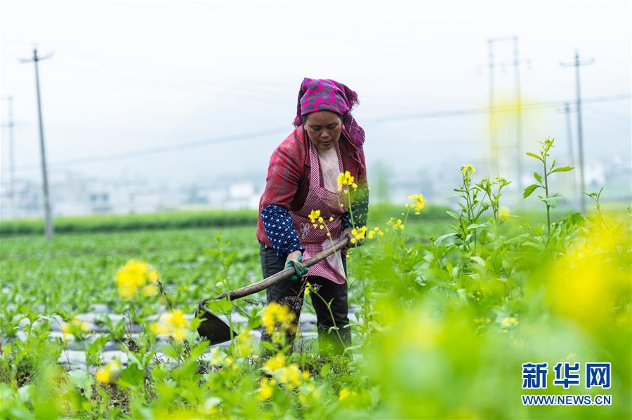 （社會(huì)）（1）貴州啟動(dòng)脫貧攻堅(jiān)&ldquo;春季攻勢(shì)&rdquo;