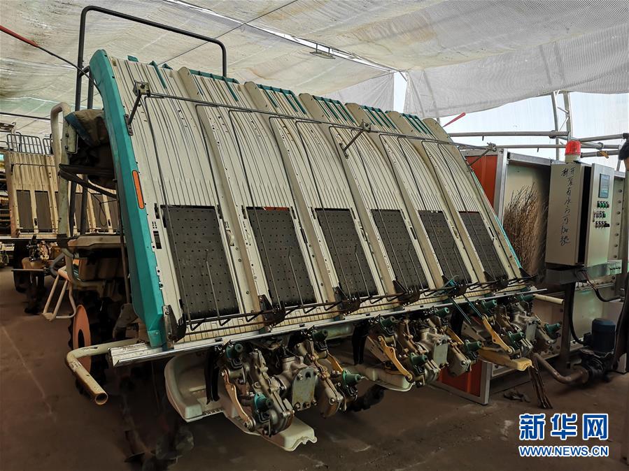 （在習(xí)近平新時(shí)代中國特色社會(huì)主義思想指引下&mdash;&mdash;新時(shí)代新作為新篇章&middot;圖文互動(dòng)）（2）黑土地上感受&ldquo;中國飯碗&rdquo;新變化