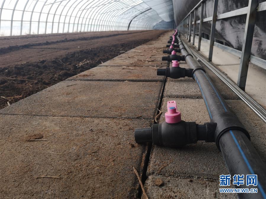 （在習(xí)近平新時(shí)代中國特色社會(huì)主義思想指引下&mdash;&mdash;新時(shí)代新作為新篇章&middot;圖文互動(dòng)）（3）黑土地上感受&ldquo;中國飯碗&rdquo;新變化