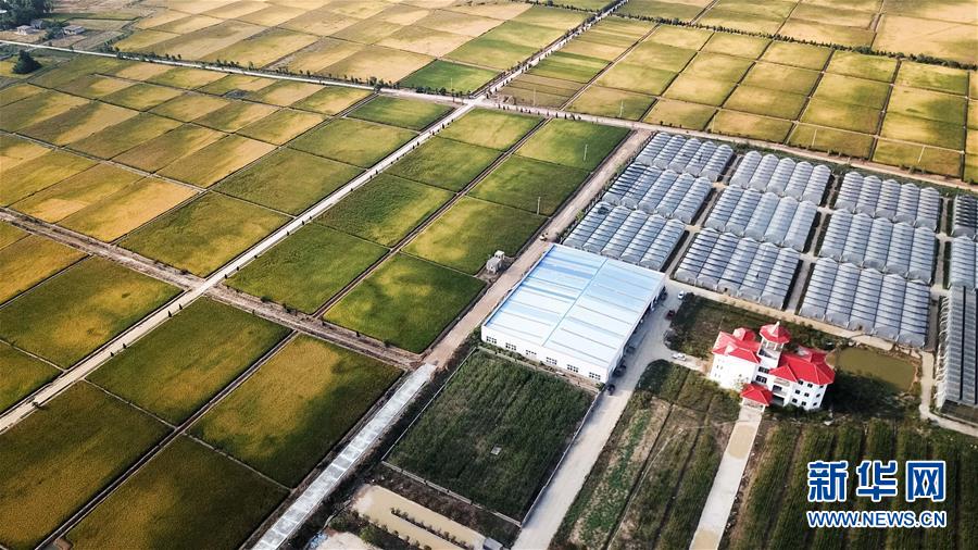 （新華全媒頭條&middot;愛國情 奮斗者&middot;圖文互動(dòng)）（8）一個(gè)村的奮斗，一個(gè)時(shí)代的巨變&mdash;&mdash;記敢&ldquo;蹚新路&rdquo;的小崗人