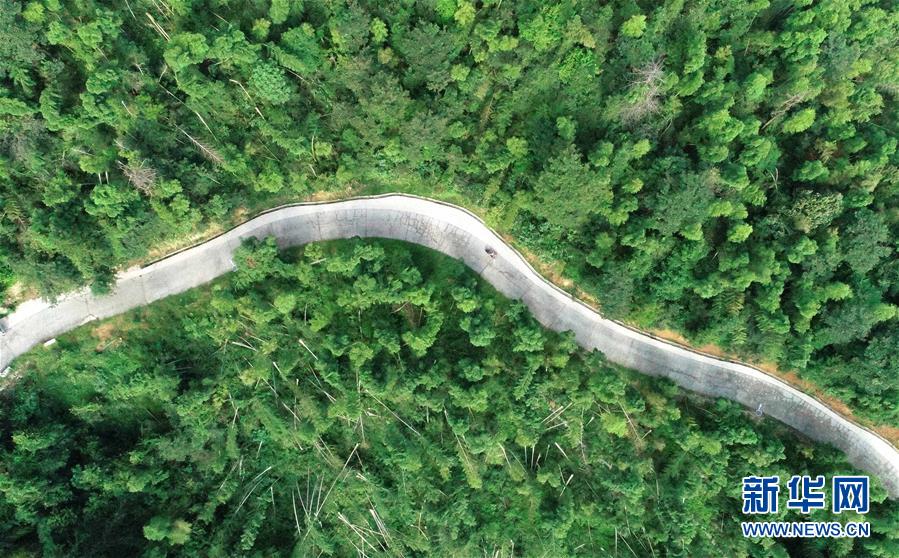 （中國(guó)網(wǎng)事&middot;感動(dòng)2019&middot;圖文互動(dòng)）（7）鄉(xiāng)村教師高自仁：60多根拐杖，撐起42年教學(xué)路