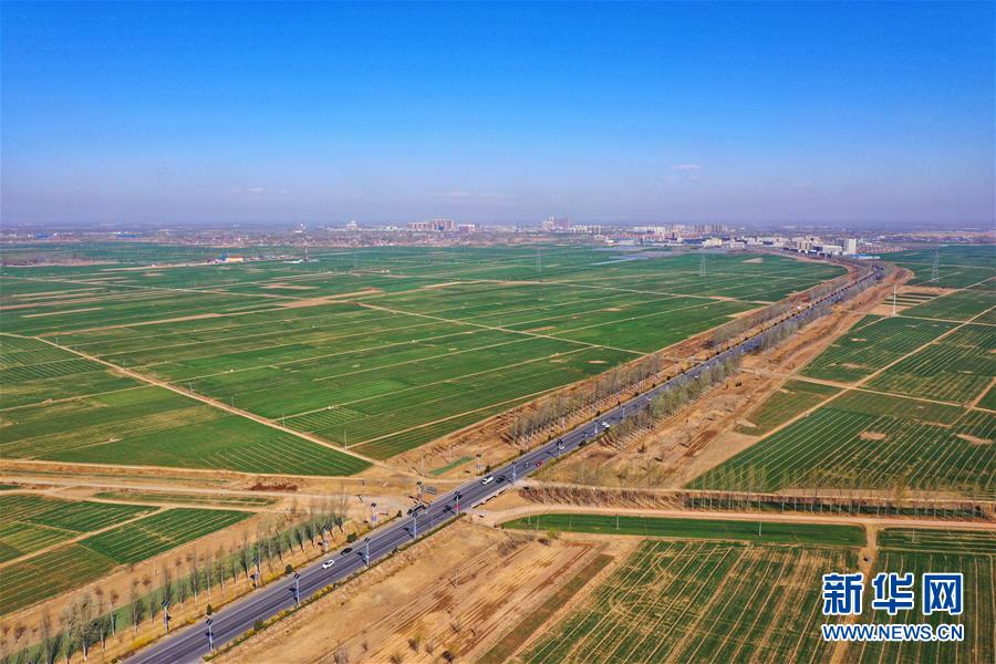 （新華全媒頭條&middot;圖文互動）（2）奮進，向著未來之城！&mdash;&mdash;河北雄安新區(qū)建設(shè)發(fā)展兩周年紀實