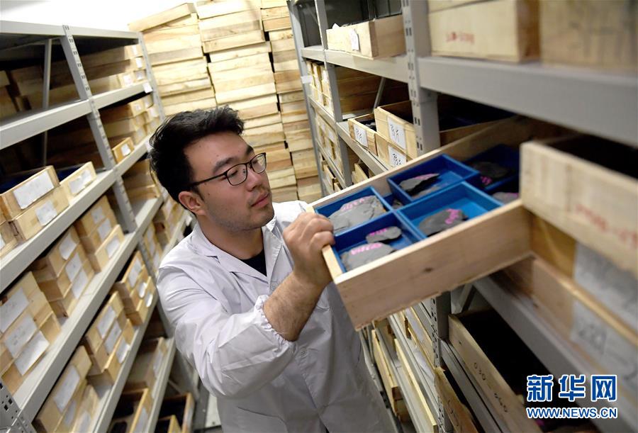 （新華全媒頭條&middot;圖文互動）（4）探尋5億年前&ldquo;生命大爆炸&rdquo;之奧秘&mdash;&mdash;中國科學家發(fā)現(xiàn)寒武紀&ldquo;化石寶庫&rdquo;清江生物群紀實