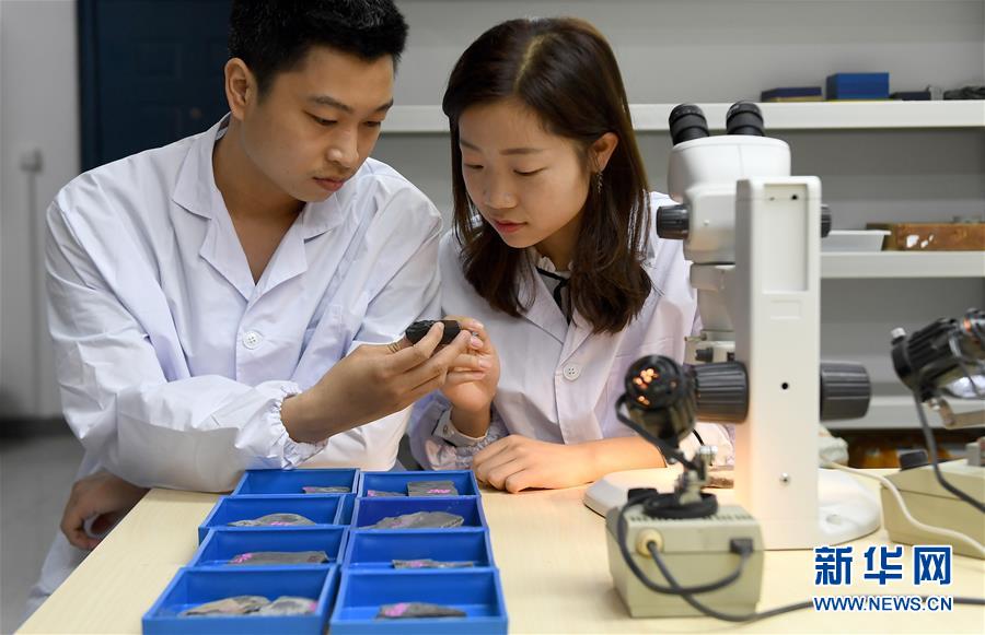 （新華全媒頭條&middot;圖文互動）（5）探尋5億年前&ldquo;生命大爆炸&rdquo;之奧秘&mdash;&mdash;中國科學家發(fā)現(xiàn)寒武紀&ldquo;化石寶庫&rdquo;清江生物群紀實