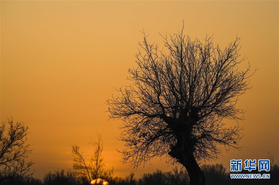 （新華全媒頭條&middot;圖文互動(dòng)）（2）一步千年，&ldquo;最后的沙漠部落&rdquo;遷入新家園