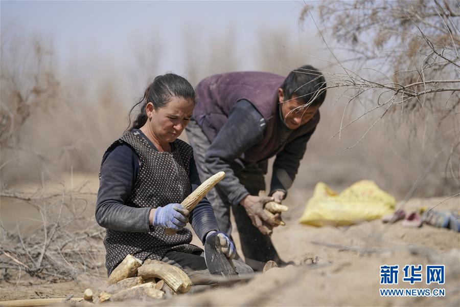 （新華全媒頭條&middot;圖文互動(dòng)）（6）一步千年，&ldquo;最后的沙漠部落&rdquo;遷入新家園