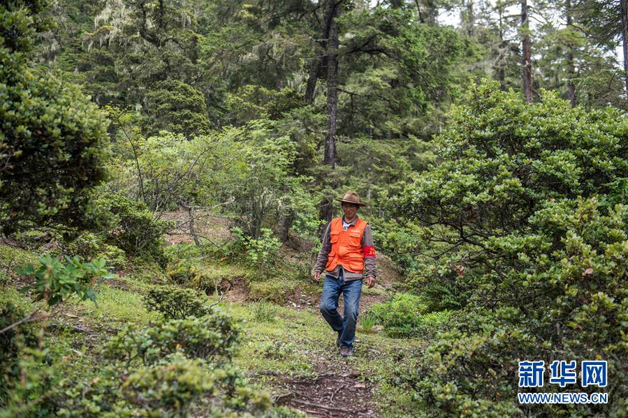 （新華全媒頭條&middot;北京世園會(huì)&middot;圖文互動(dòng)）（13）建設(shè)美麗中國 共筑綠色家園&mdash;&mdash;寫在2019年中國北京世界園藝博覽會(huì)開幕之際