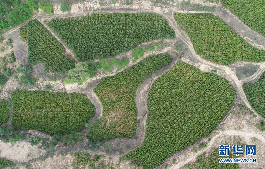 （新華全媒頭條&middot;北京世園會&middot;圖文互動）（8）共繪人類生態(tài)文明美麗畫卷&mdash;&mdash;從北京世園會看中國綠色發(fā)展的&ldquo;世界貢獻(xiàn)&rdquo;