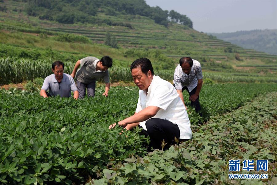 （新華全媒頭條&middot;圖文互動）（1）讓奮斗成為人生最亮麗的底色&mdash;&mdash;寫在2019年&ldquo;五一&rdquo;國際勞動節(jié)到來之際
